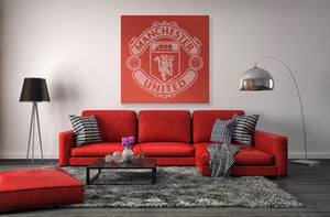 manchester united logo in residential